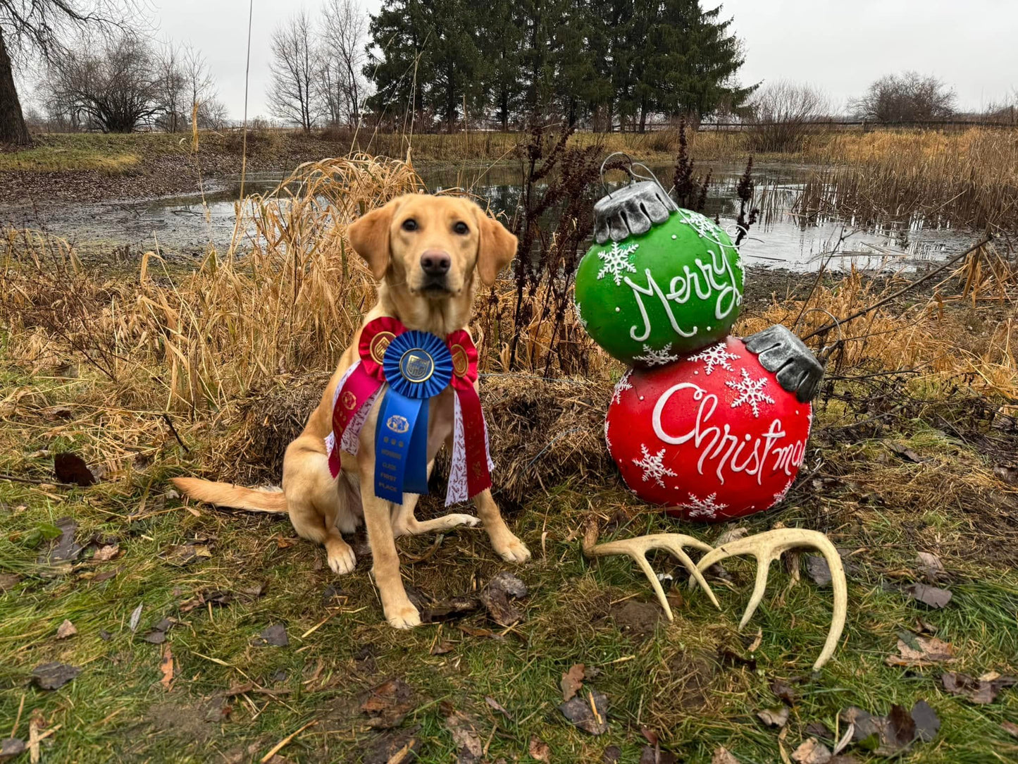 Advanced Shed Hunt Class: Saturday’s at 2:00pm for 4 Weeks