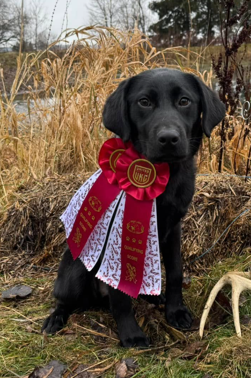 Beginner Shed Hunt Class: 2/23/2025 Noon Start